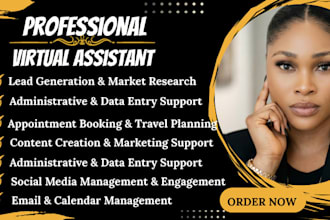 be your professional executive virtual assistant for admin support and travel