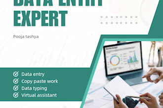 do professional data entry and copy paste work
