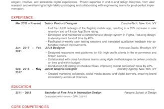 professional resume writer and document designer