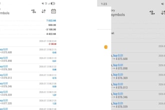manage mt5 mt4 account management challenge account management