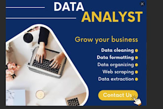 be your data analyst