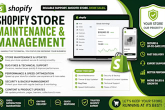 provide ongoing shopify store maintenance and support