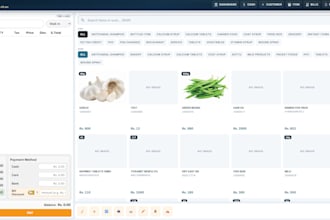 develop professional web pos system