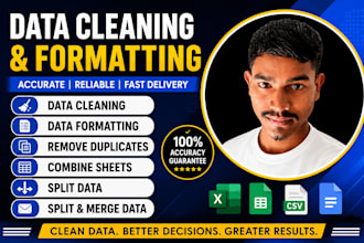 clean,format organize excel data professionally