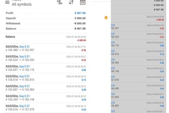 manage mt4 mt5 account management mt5 account management account management