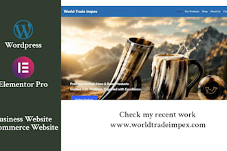 redesign wordpress ecommerce, business website