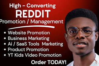promote website traffic reddit link post