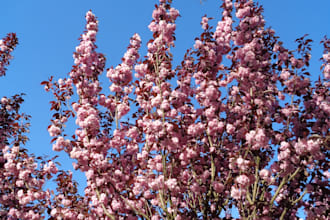 capture beautiful nature and landscape photography in high resolution