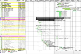 create a professional primavera p6 schedule for your project