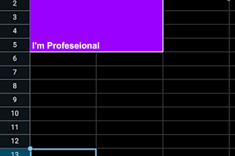 excel data entry data cleaning and google sheets specialist