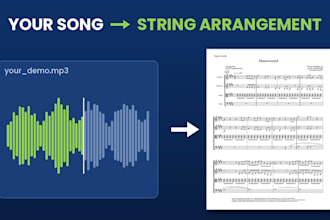 write a custom string arrangement of your song for quartet or any ensemble