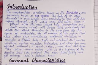 write neat and beautiful cursive handwriting documents