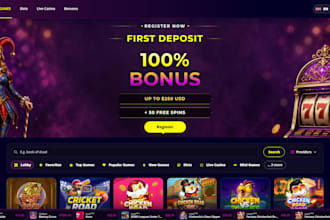 provide you the igaming solution