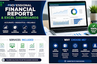 create professional excel financial reports and dashboards