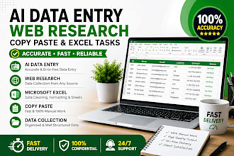 do ai data entry, web research, copy paste and excel tasks