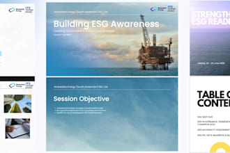 conduct a professional sustainability report