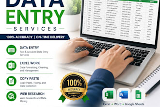 do data entry excel and word expert