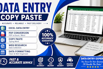 do accurate data entry, copy paste, excel and web research