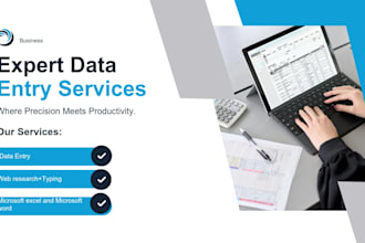 do accurate data entry copypaste excel and web resaerch