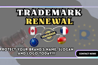 file your US trade mark and patent, trademark search, office action, sou renewal