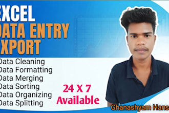 clean, format, merge, organize, sorting, filtering, split  excel data