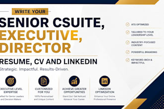 write your senior csuite, executive, director resume, CV and linkedin