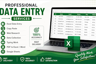 do advanced excel work and data analysis