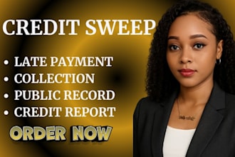 prepare professional credit sweep dispute letters