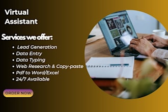 be personal virtual assistant for data entry,web research