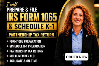 prepare and file irs form 1065 partnership tax return with schedule k1