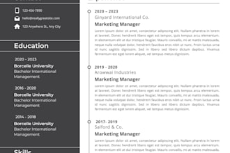 create a modern professional CV and resume