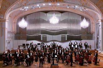 teach european classical violin lessons