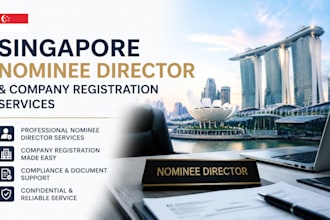 provide singapore nominee director and company registration services