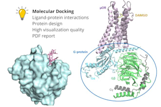 do molecular docking with high visualization quality