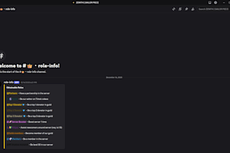 design of a professional discord server with custom bots