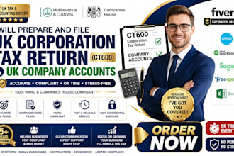 prepare and file UK corporation tax return and UK company accounts
