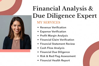 verify business revenue, expenses, profit margins and financial claims