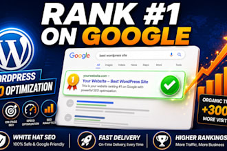 do wordpress SEO optimization to rank your website on google
