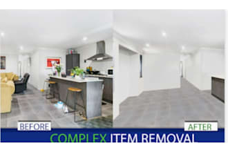 do professional photo cleanup and item removal
