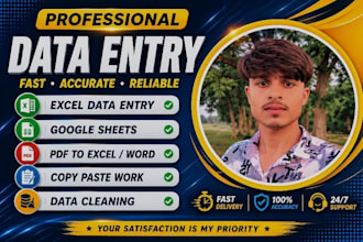 ido excel data entry, data cleaning, PDF to excel conversion