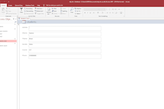 fix your excel formula, dashboards and access forms