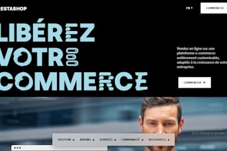 build a professional responsive prestashop website, SEO, module generic bug fix