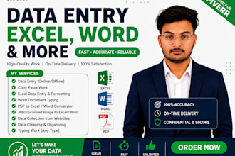 do accurate excel data entry copy paste and web research