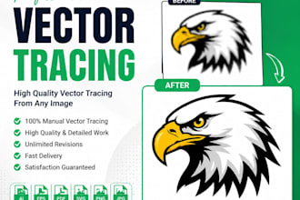 convert low quality logo to high quality vector manually