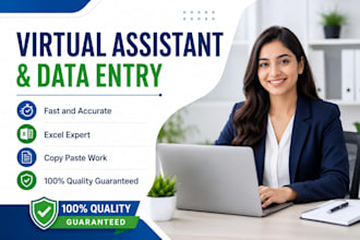 do professional data entry and ms excel copy paste work