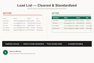 clean and standardize your CRM or sales business spreadsheet data