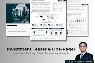 create one pager, executive summary, or investment teaser report
