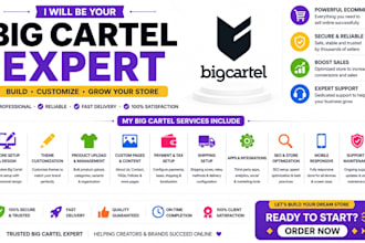 design and customize your big cartel store to boost sales