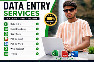 do  data entry, excel data entry, copy paste and web research