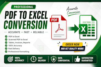 convert scanned PDF to excel professionally